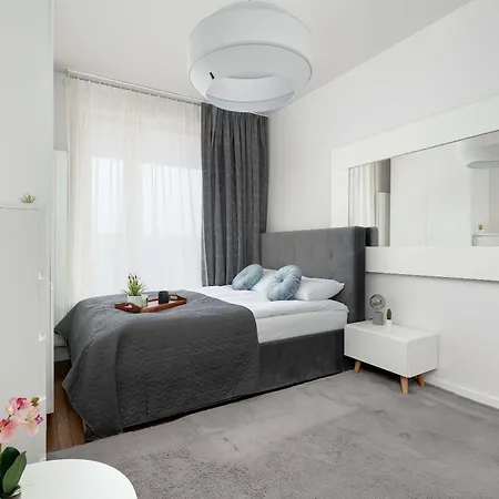 Lubicz Stylish With Parking And Air Conditioning In The Center By Renters