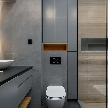 Lubicz Stylish With Parking And Air Conditioning In The Center By Renters Apartment *