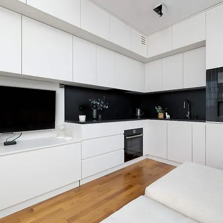 Lubicz Stylish With Parking And Air Conditioning In The Center By Renters