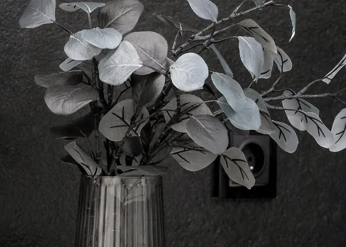 Apartment Lubicz Stylish With Parking And Air Conditioning In The Center By Renters Krakow