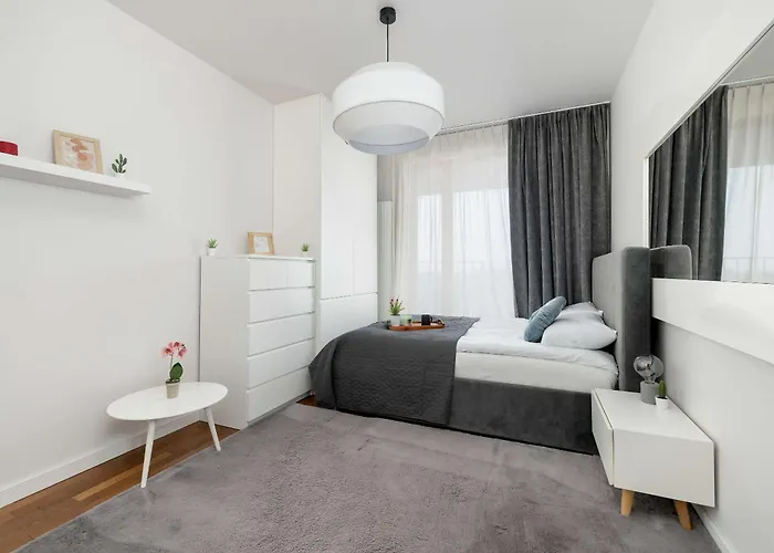 Lubicz Stylish With Parking And Air Conditioning In The Center By Renters *